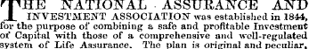 THE NATIONAL ASSURANCE AND INVESTMENT AS...