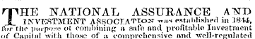 THE NATIONAL ASSURANCE AND INVESTMENT AS...