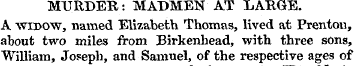 MURDER: MADMEN AT LARGE. A widow, named ...