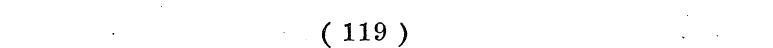 (119)