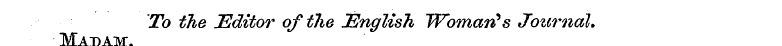 Madam To the Editor of the JSnglish Woma...