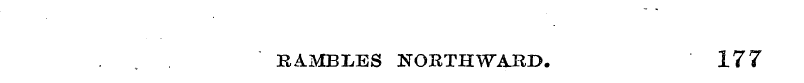BAMBIiES NORTHWARD. 177