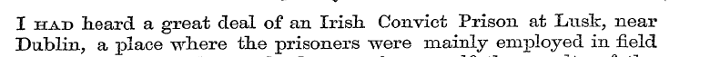 o I had lieard a great deal of an Irish....