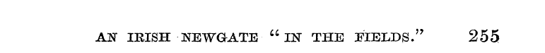 AN IRISH NEWGATE "iN THE FIELDS." 255
