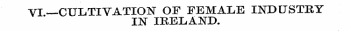 VI.—CULTIVATION OF FEMALE INDUSTRY IN IR...