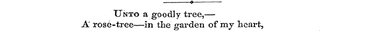 O Unto a goodly tree,-— A rose-tree—in t...