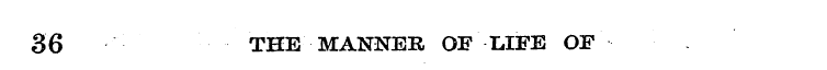 36 THE MANNER OF LIFE OF