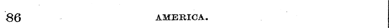 86 AMERICA.