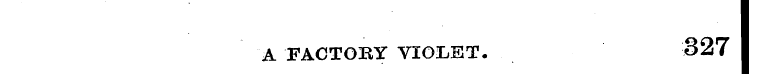 A FACTORY VIOLET. 327
