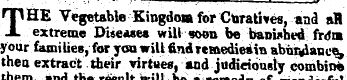 THE Vegetable Kingdom for Curatives , an...