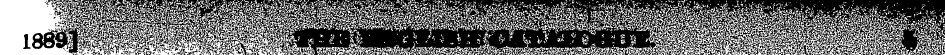 Untitled Article