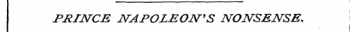 PRINCE NAPOLEON'S NONSENSE.