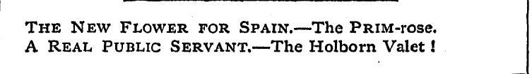 The New Flower for Spain.—The PRiM-rose....