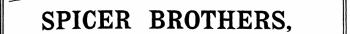 SPICER BROTHERS,