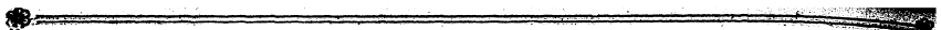 gj ffiff.^. - - i '- ,, ¦ ¦:,¦: . ¦ ' ¦¦...