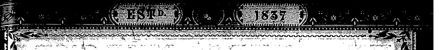 1—^^IHIL^^^^ilil IjPJlp Hw^^^^ iP ^^^ ¦ ...