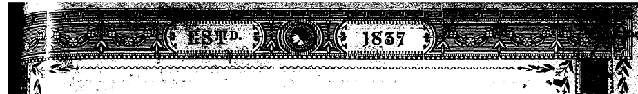 Wgg^ ^yflj l^ m- PRICE THREEPENCE H^