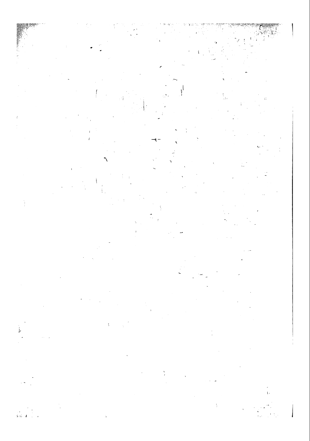 Page 308