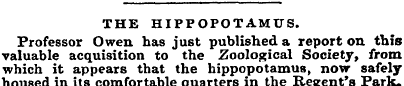 THE HIPPOPOTAMUS. Professor Owen has jus...