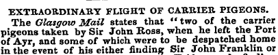 EXTRAORDINARY FLIGHT OF CARRIER PIGEONS....
