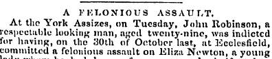 A 1'KLONIOUS ASSAULT. At the York Assize...