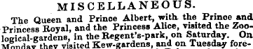 MISCELLANEOUS. The Queen and Prince Albe...