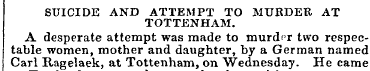 SUICIDE AND ATTEMPT TO MURDER AT TOTTENH...