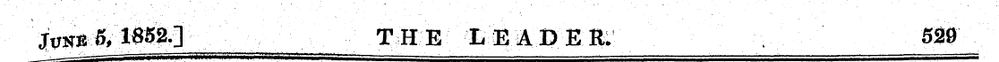 JvKB S, 185g.} THE LEADER. 529