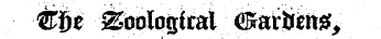 'Eijt Zoological ffiarJieng,