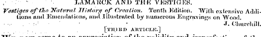 , ^ LAMARCK AND T.IMC V.NSTKXEK. Vestige...