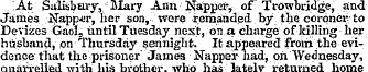 !At Salisbury, : Mary Ann Napper, of Tro...