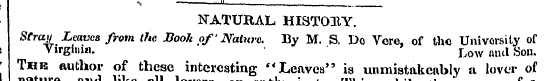 , ¦> , —u . . NATURAL HISTOBY. Stray Lea...