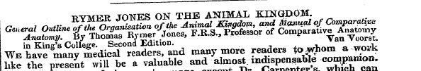 RYMER JONES ON THE ANIMAL KINGDOM. S tHS...