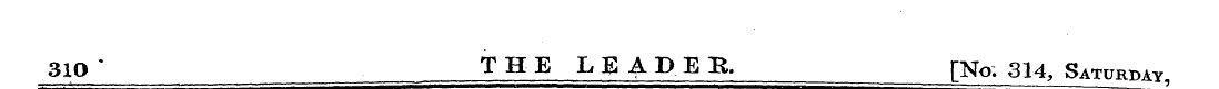 310 * THE LEADEB, [No; 314, Saturday,