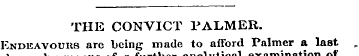 THE CONVICT PALMER. Endeavours are being...