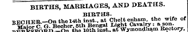 BIRTHS, MARRIAGES, AND DEATHS. BIRTHS. H...