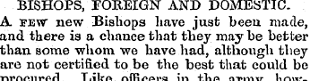 BISHOPS, FOREIGN AND DOMESTIC. A few new...