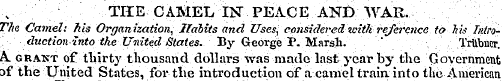 THE CAMEL IN" PEACE AND WAR. The Camel: ...