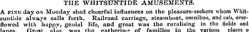 THE WHITSUNTIDE AMUSEMENTS. A fine day o...