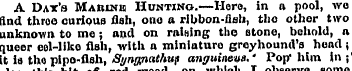 A Dat's Maiunis Huntino.—I-Ioro, in ft p...