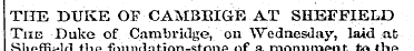 THE DUKE OF CAMBBIGE AT SHEFFIELD The Du...