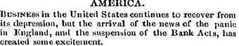 AMERICA. Business in the United States c...