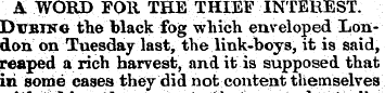 A WORD FOll THE.-THIEF ¦IN TEREST, &VBI2...