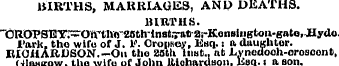 BIRTHS, MAttlUAUES, ANP DEATHS. 1H11THS....