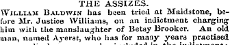 THE ASSIZES. William Baldwin- has been t...
