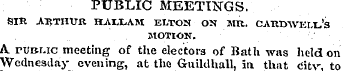 PUBLIC MEETINGS. SIR ARTHUR HJVIX.AM ELT...