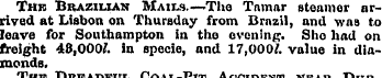 Thus Brazilian Mails.—'The Tnmar steamer...