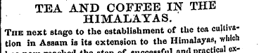 TEA AND COFFEE IN THE HIMALAYAS. The nex...
