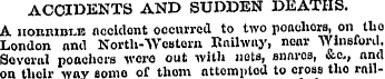 ACCIDENTS AND SUDDEN DEATHS. A horrible ...