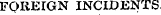 FOREIGN INCIDENTS